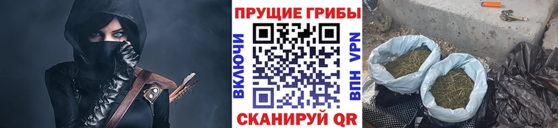 Галлюциногенные грибы прущие грибы  Купить закладки  Саки 
